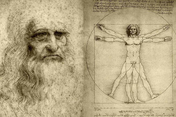 Vitruvio hombre Leonardo da Vinci dibujo papel pintado