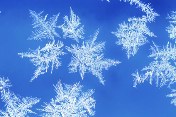 Chutes de gros flocons de neige du ciel