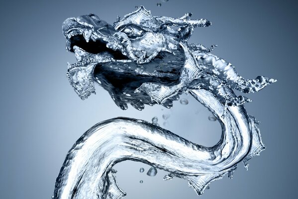 Dragón de agua chino retorcido