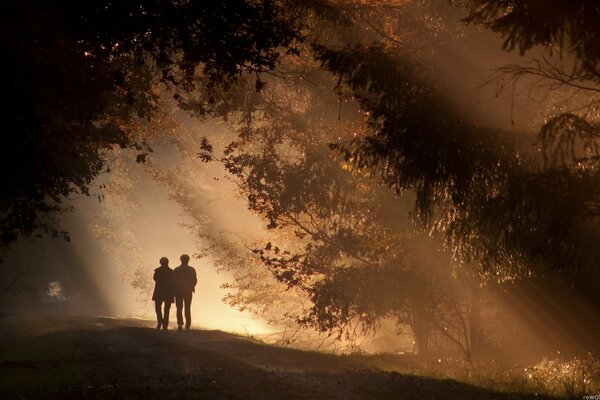 Dos caminan por el parque al anochecer en el bosque