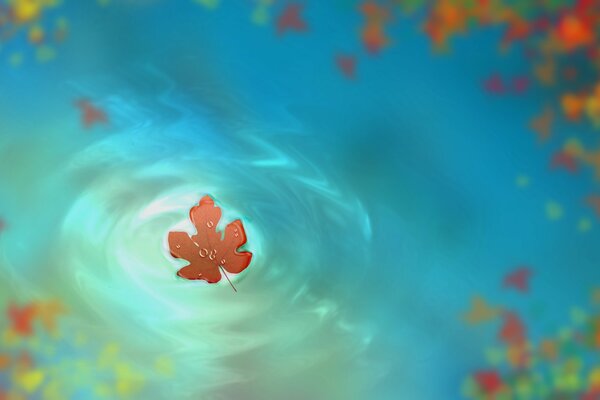 The leaf will float on the water in autumn