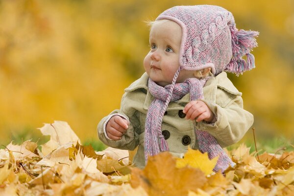 Baby im Herbst spielt mit gefallenen Blättern