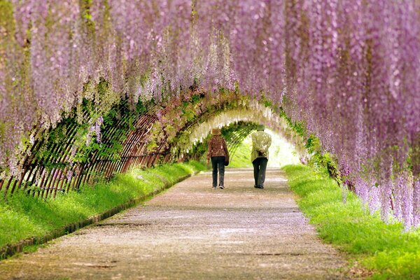 A wonderful walk through the blooming park