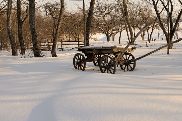 Chariot en bois dans la forêt d hiver