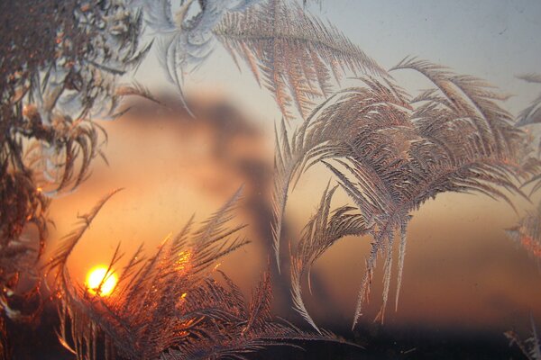 Dawn feather patterns and the sun