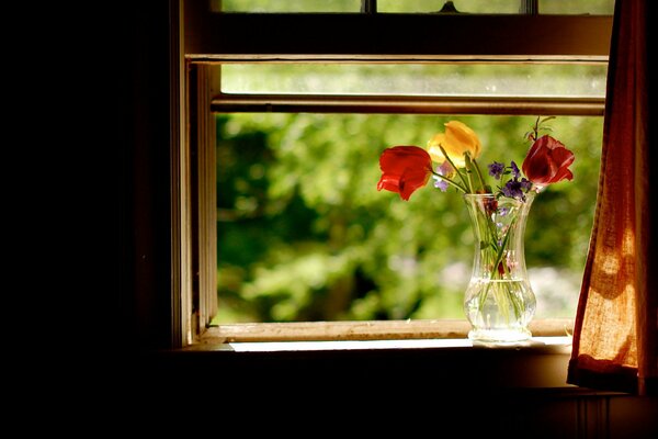 Vase avec des fleurs dans une fenêtre ouverte