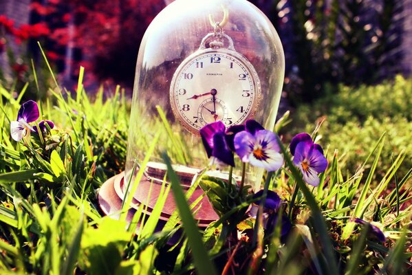 Horloge dans un flacon transparent entre l herbe et les pensées