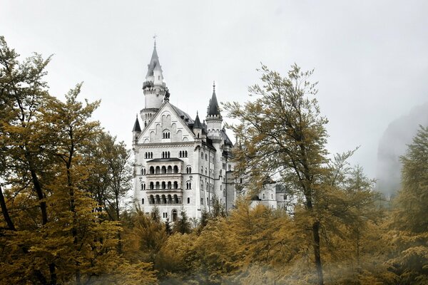 Grey castle located among the trees