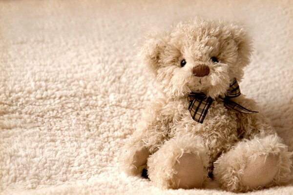 Teddy bear on beige background