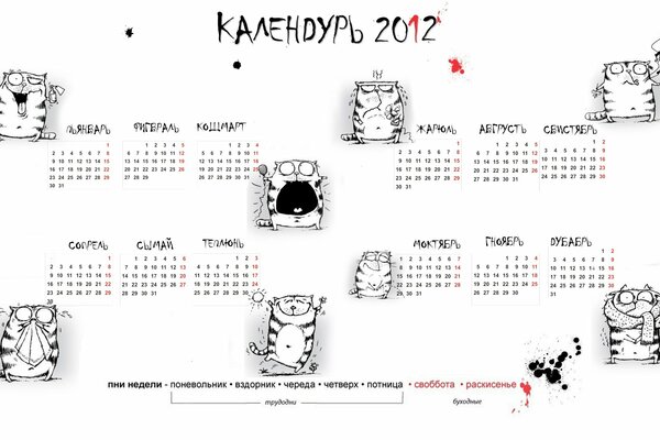 Kalendarz na Nowy Rok 2012 z kotami