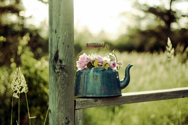 A teapot filled with flowers stands on the fence