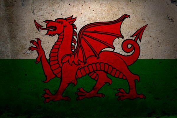 Painted red dragon on the flag