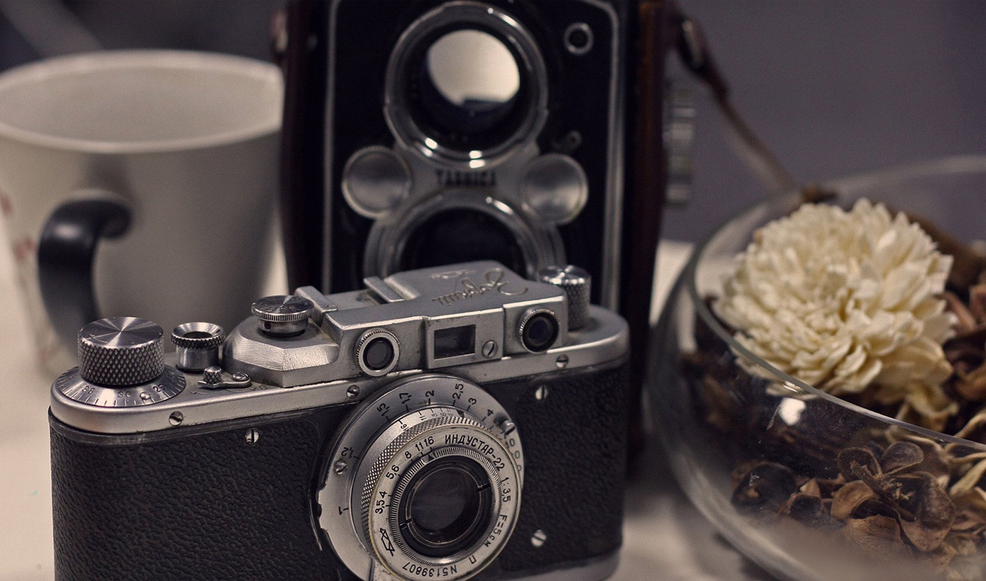 still life retro oggetti macchina fotografica vaso fiore crisantemo tazza