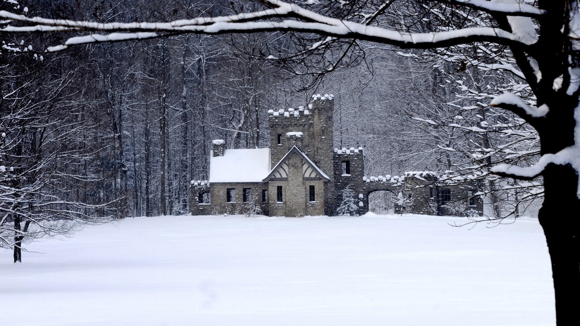 forêt hiver maison