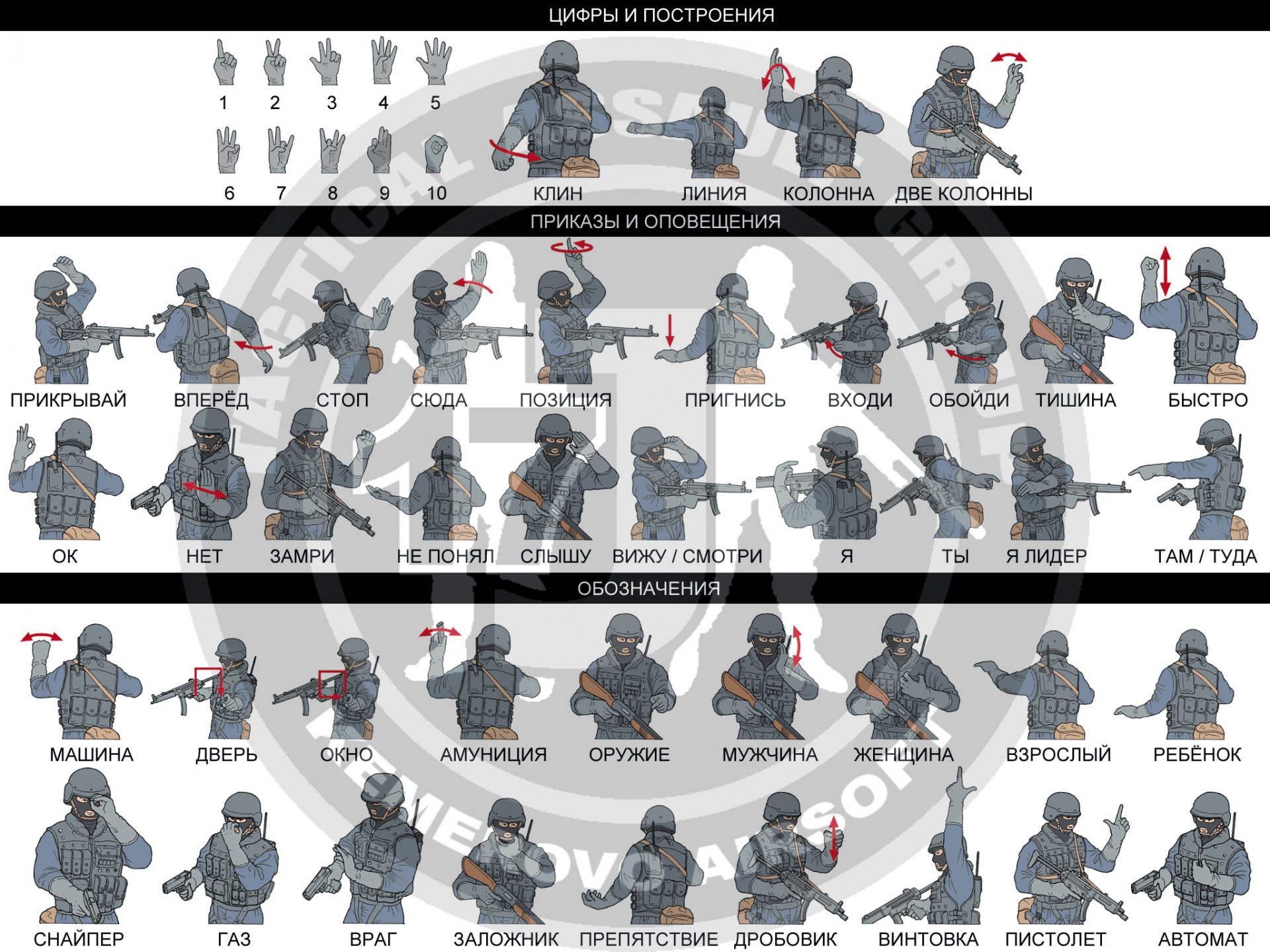 swat uniforme casco assalto tattico squadra segni gesti mano numeri ordini comando