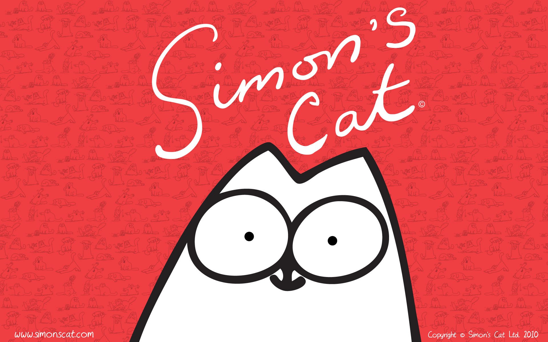 simon gato simon