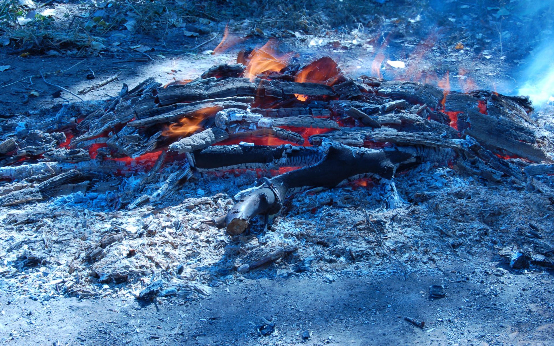 fire log flame