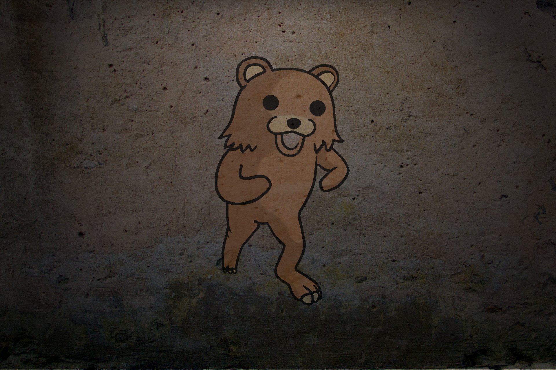 orso sfondo muro