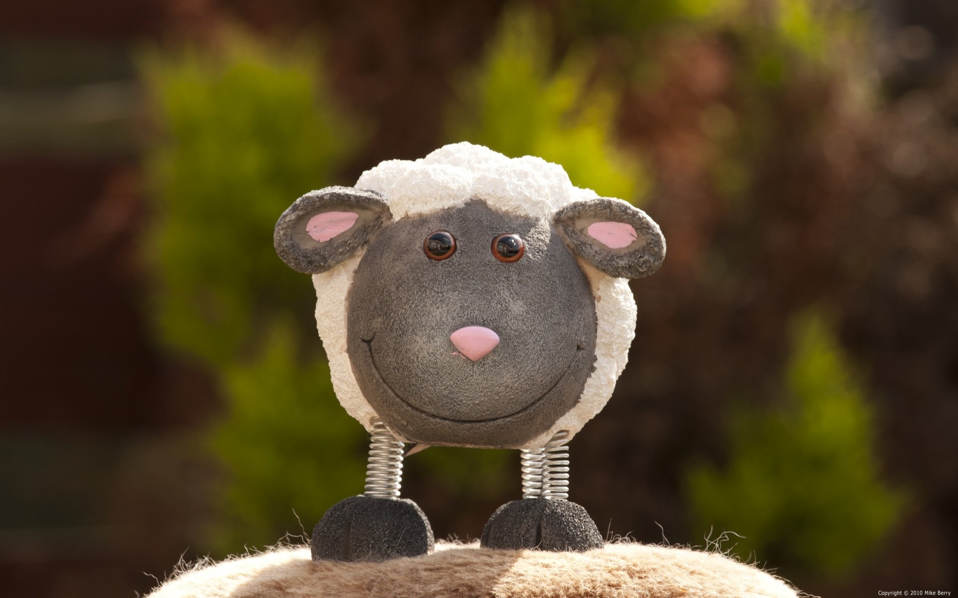 lamb toys photo smile