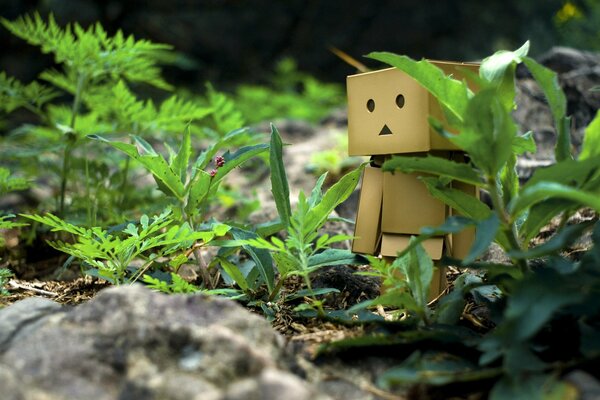 Title danbo dans l herbe sur une promenade avec des pierres