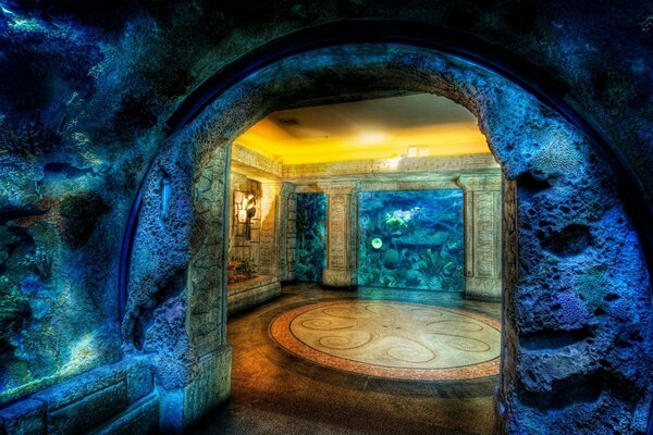 In an underwater cave, an octopus is stacked on the floor with a mosaic