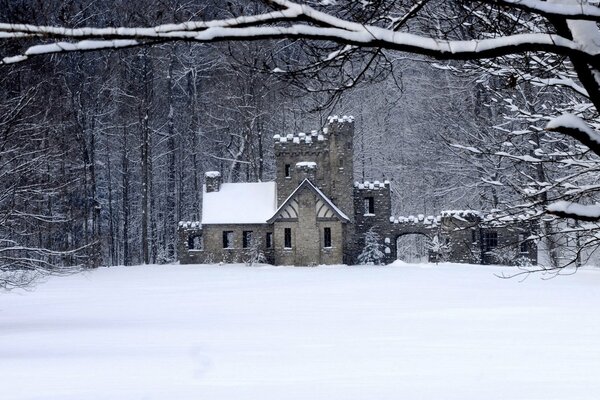 In the winter forest there is a stone house in the bright light a hand holding a medal