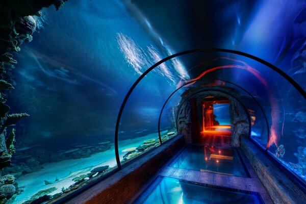 Так выглядит аквапарк изнутри - тоннель из стекла