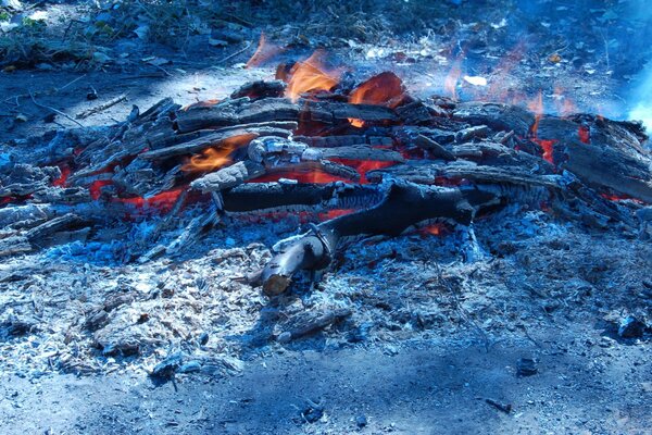 Brennende Holzbohlen im Lagerfeuer