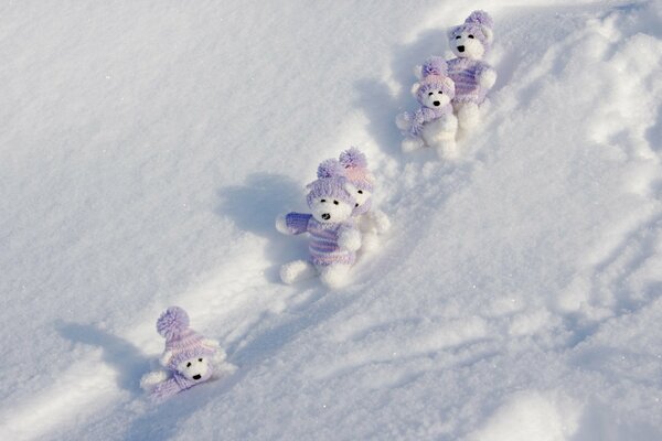 White teddy bears in the snow