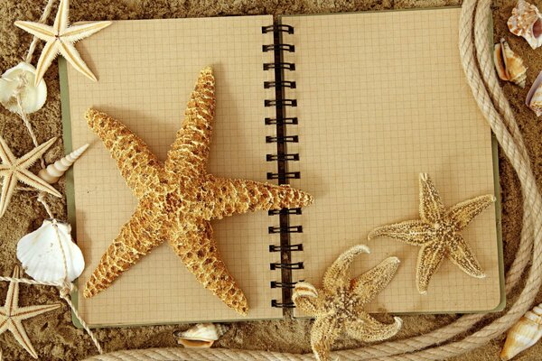 On the notebook there are starfish and seashells the sunset is visible.