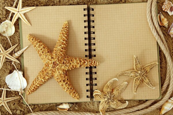 En el cuaderno se encuentran las estrellas de mar y las conchas.