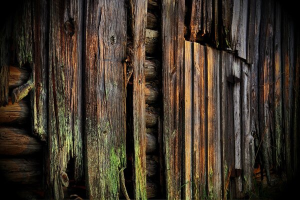 Eine Wand aus altem, grünem Holz