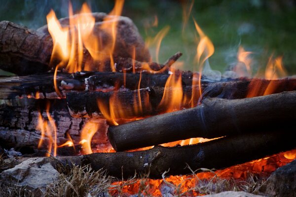 In der Natur brennt ein Feuer im Lagerfeuer