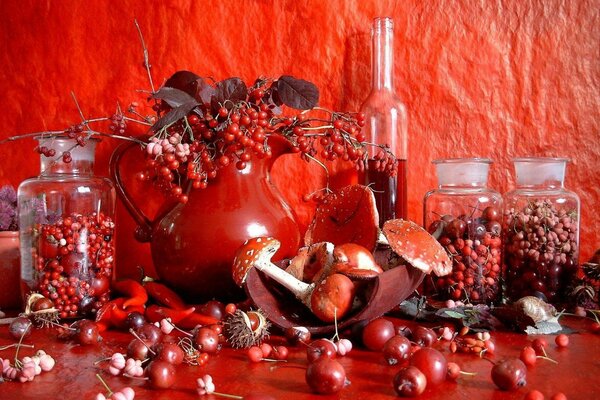 Still life of mushrooms and berries in red