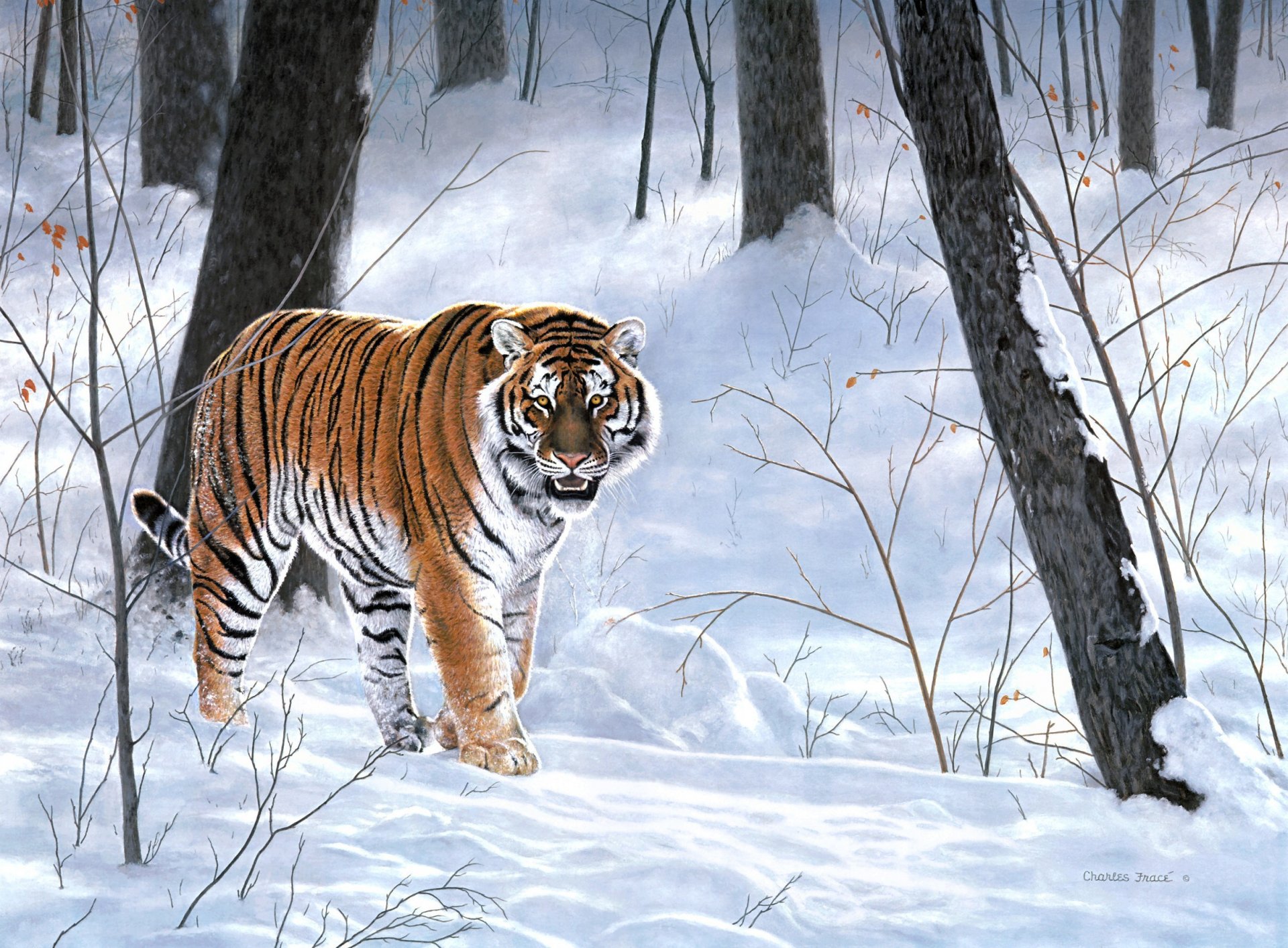 charles frace imperatore della siberia pittura foresta inverno taiga tigre animali