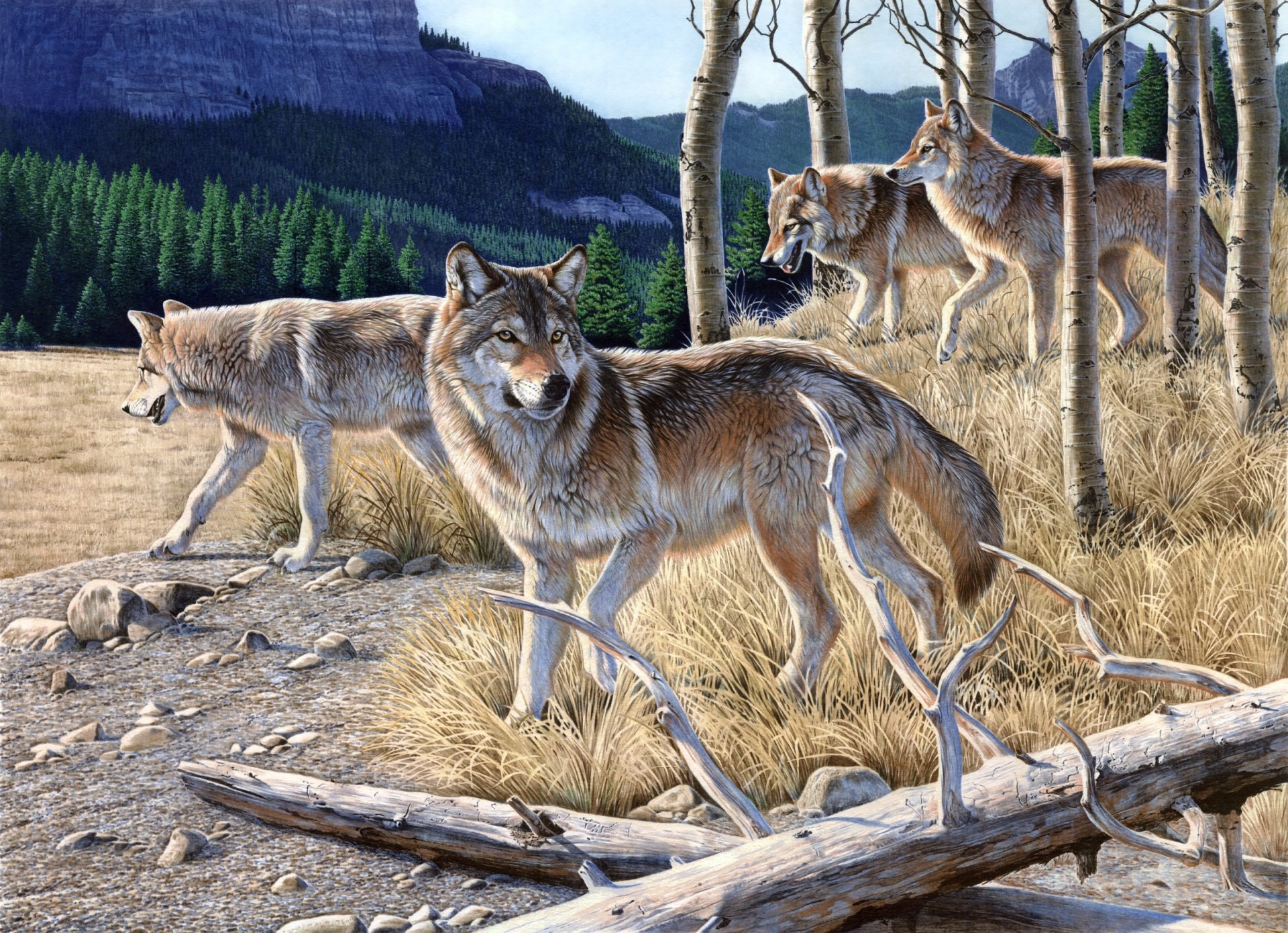 al agnuu hambre pintura lobos manada de lobos montaña bosque seco hierba amarilla otoño