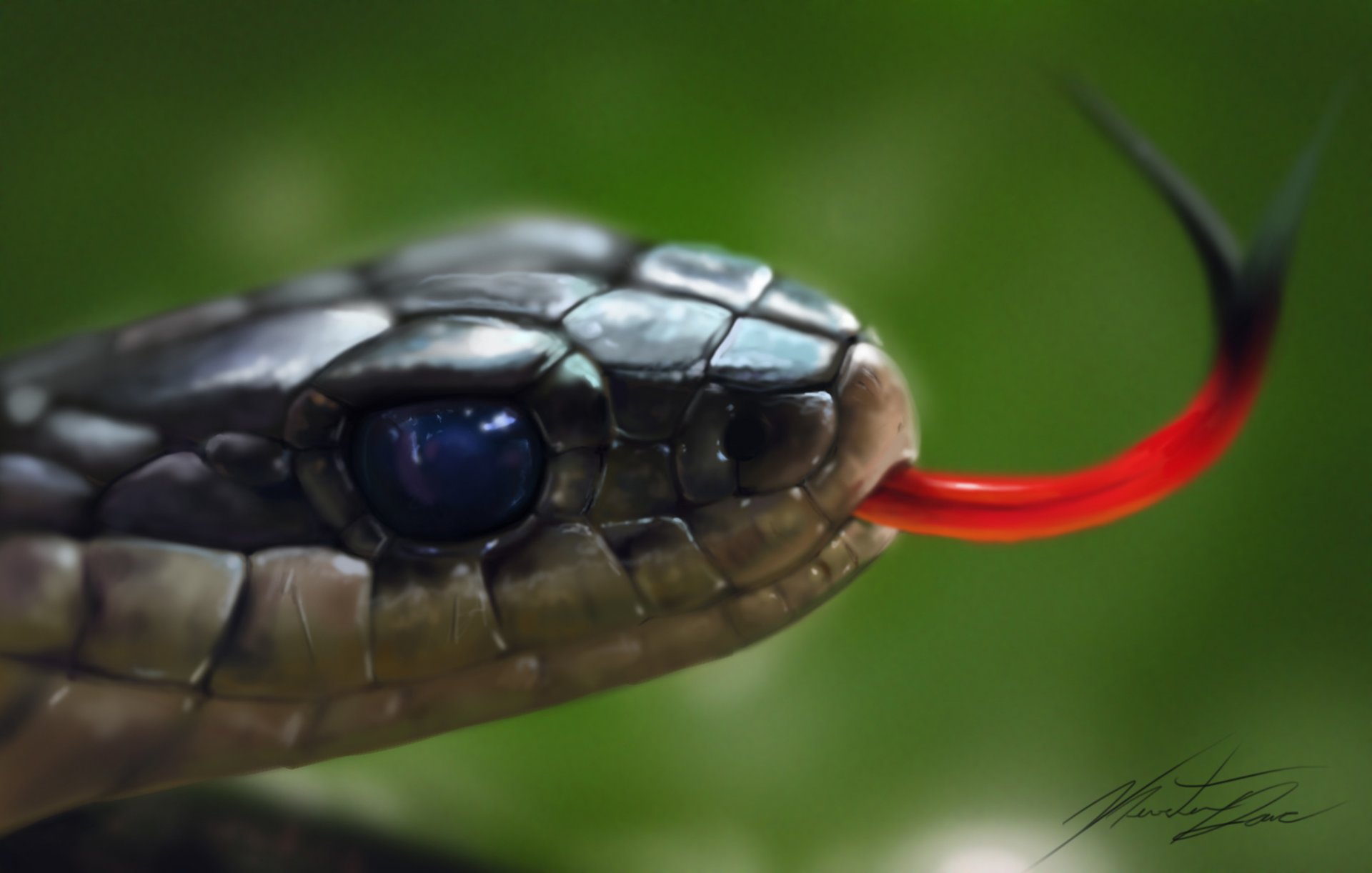 arte cabeza serpiente lengua reptil macro fondo verde