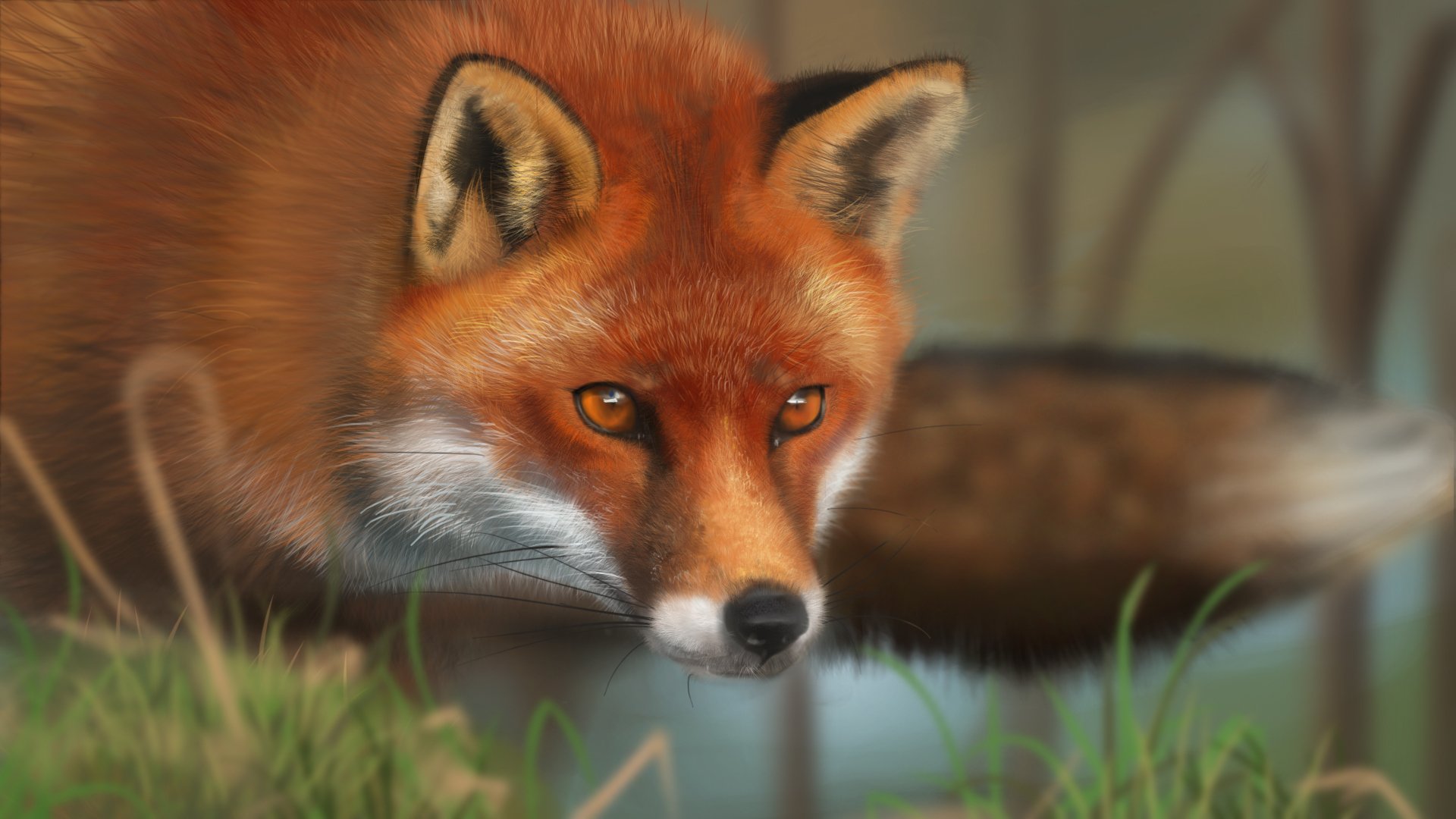 art fox animals face red gra