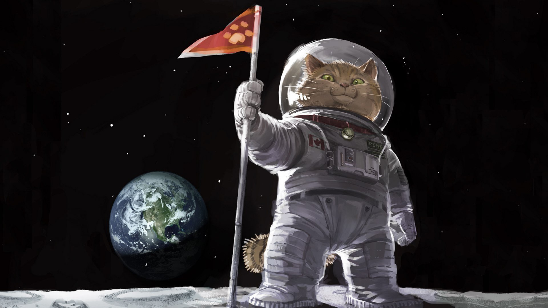 art painting pattern cat kotyara to suit space flag landing on the moon land