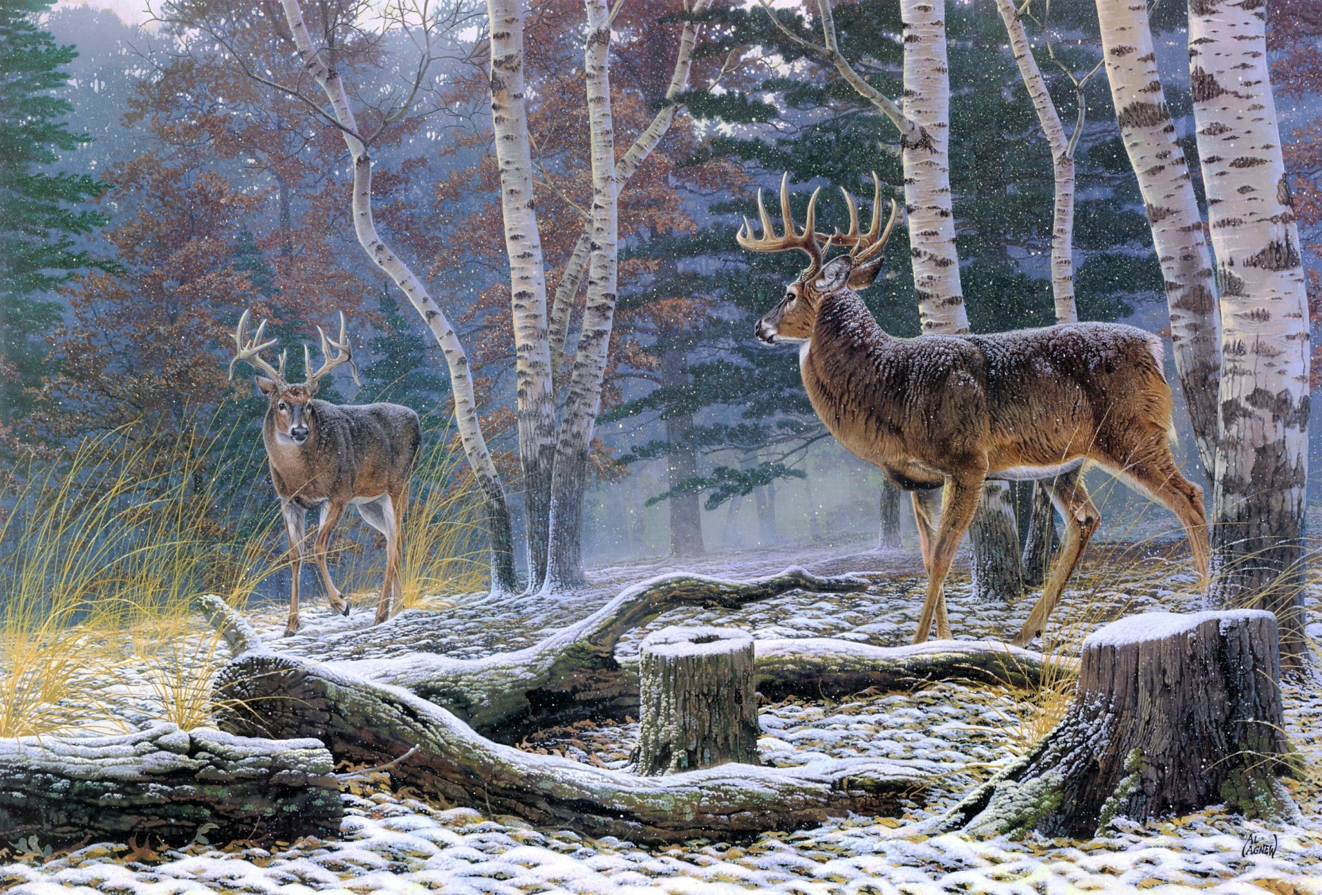 al agnü konfrontation malerei tiere hirsche wald herbst erster schnee birken stumpf