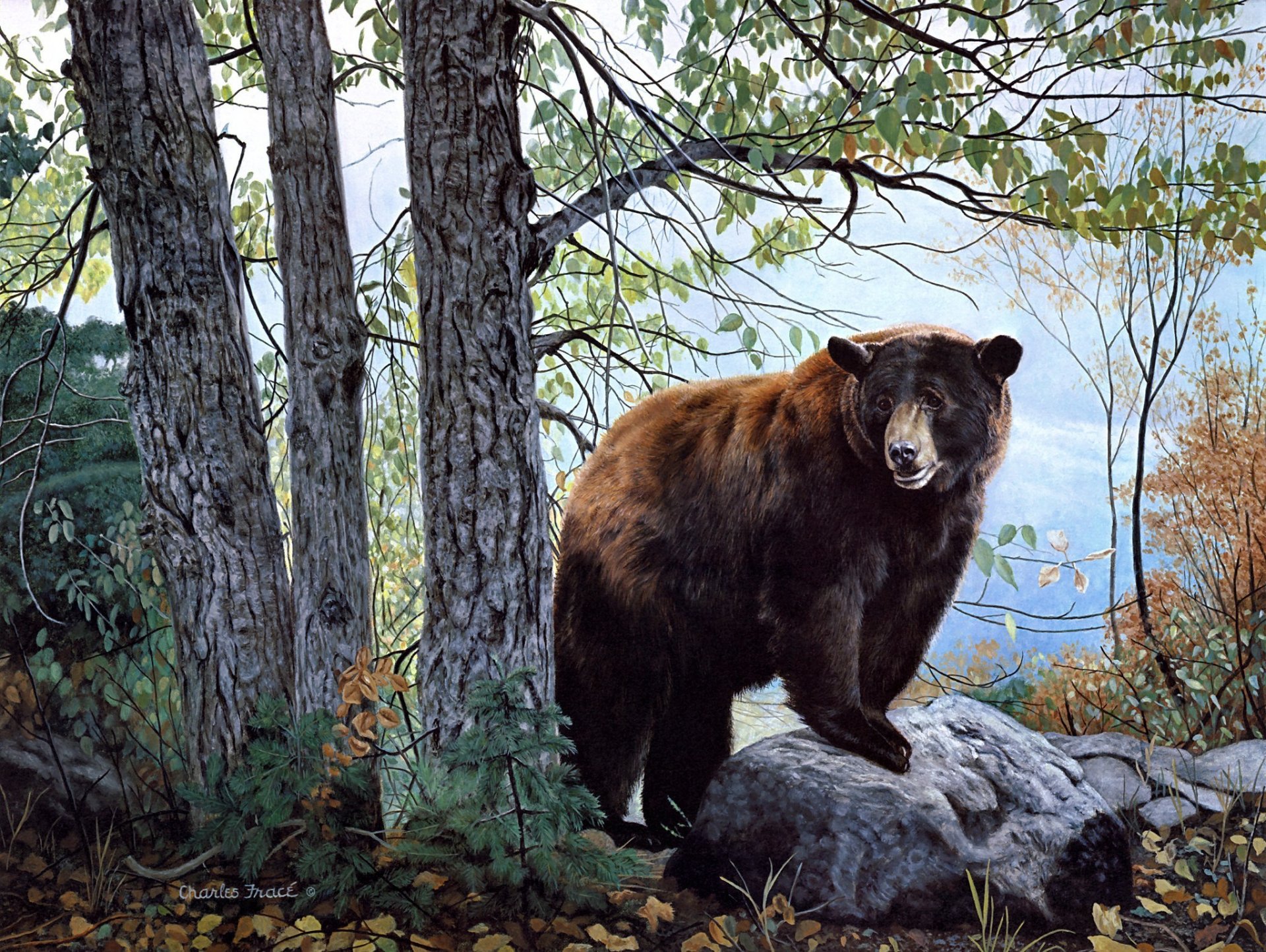 reloj de la mañana charles frace pintura oso bosque naturaleza oso pardo