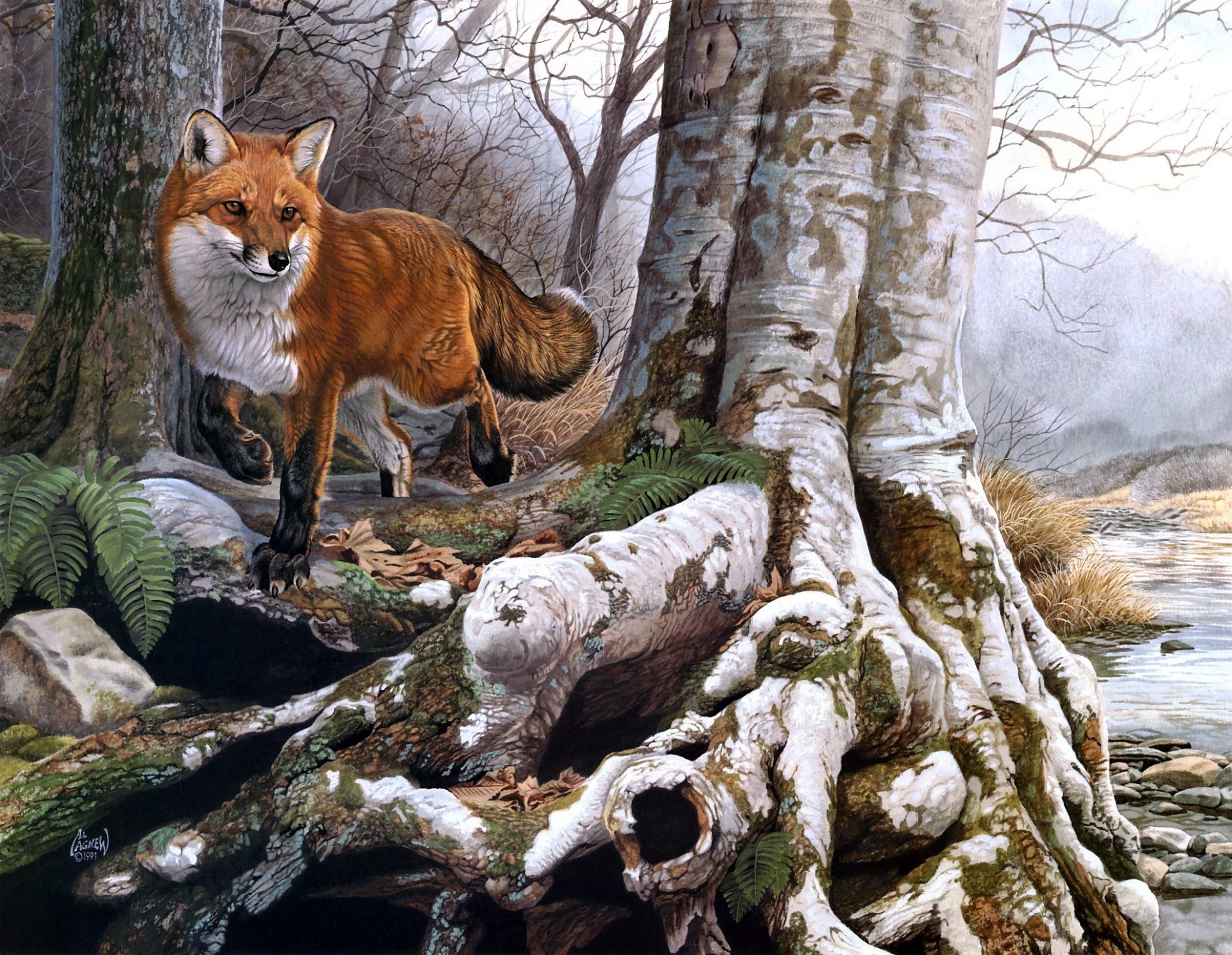 al agnew running wild painting red fox forest river autumn creek