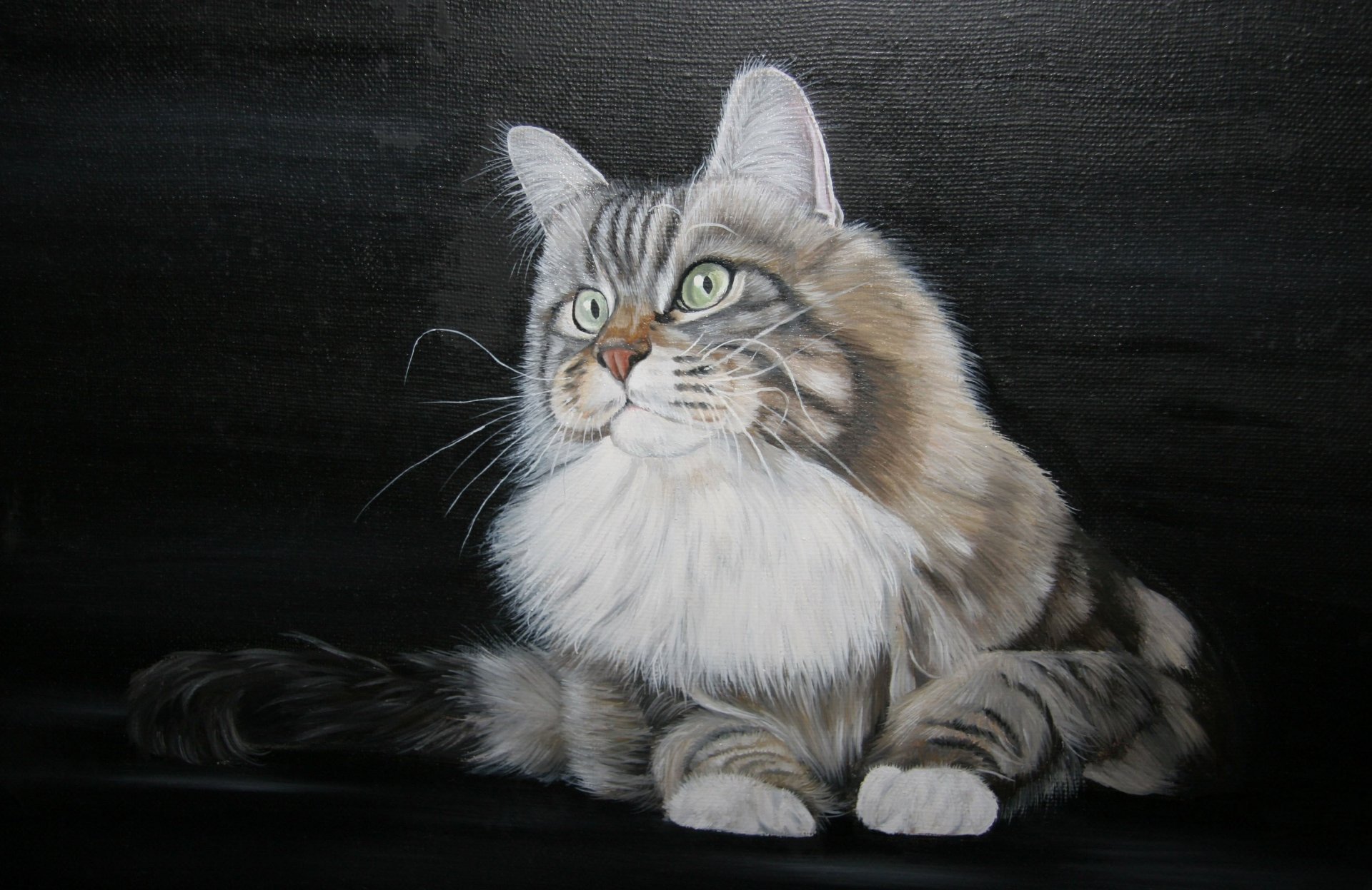 art peinture peinture chat yeux verts chaton moustache pattes queue blanc col