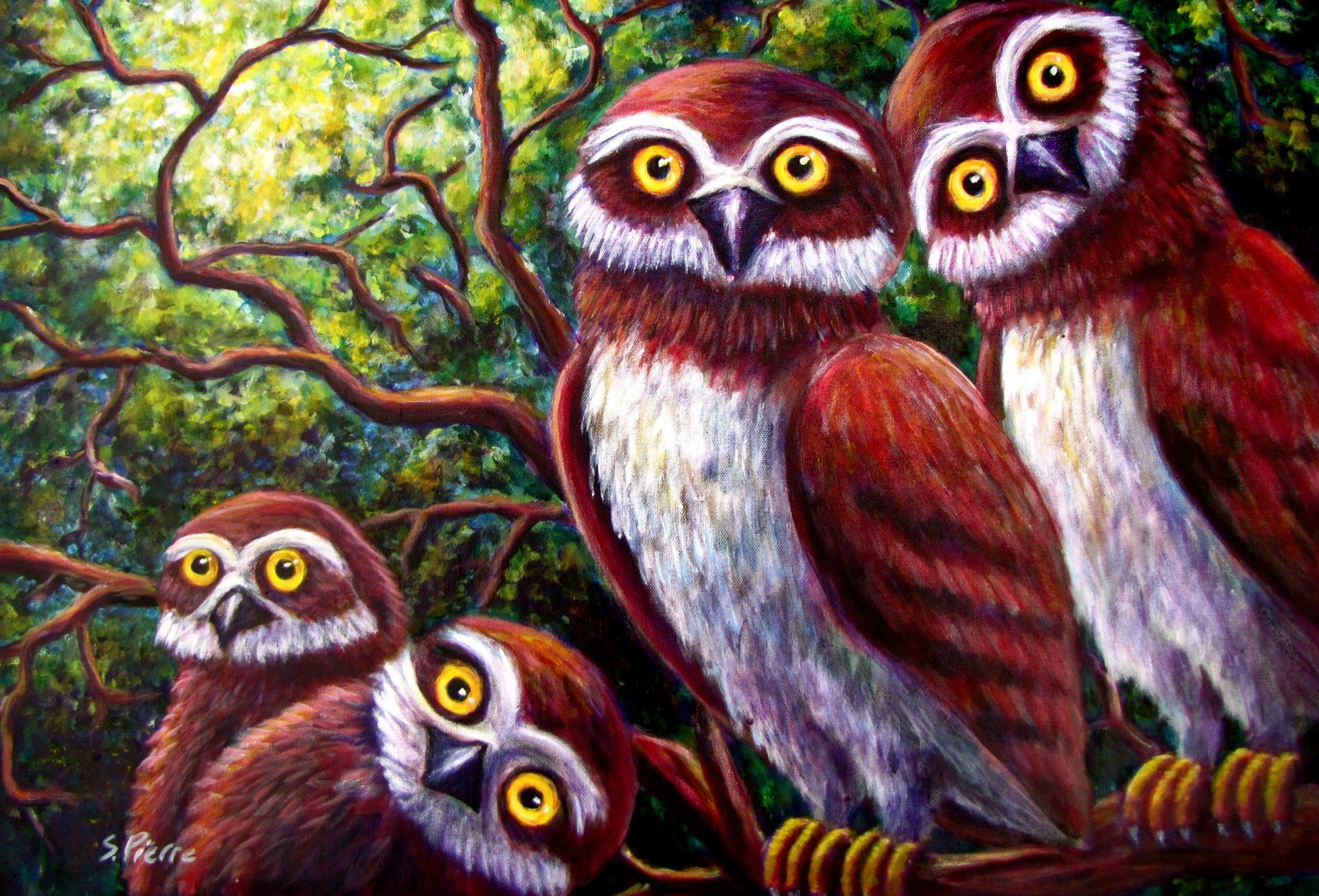 art birds owl forest tree branch