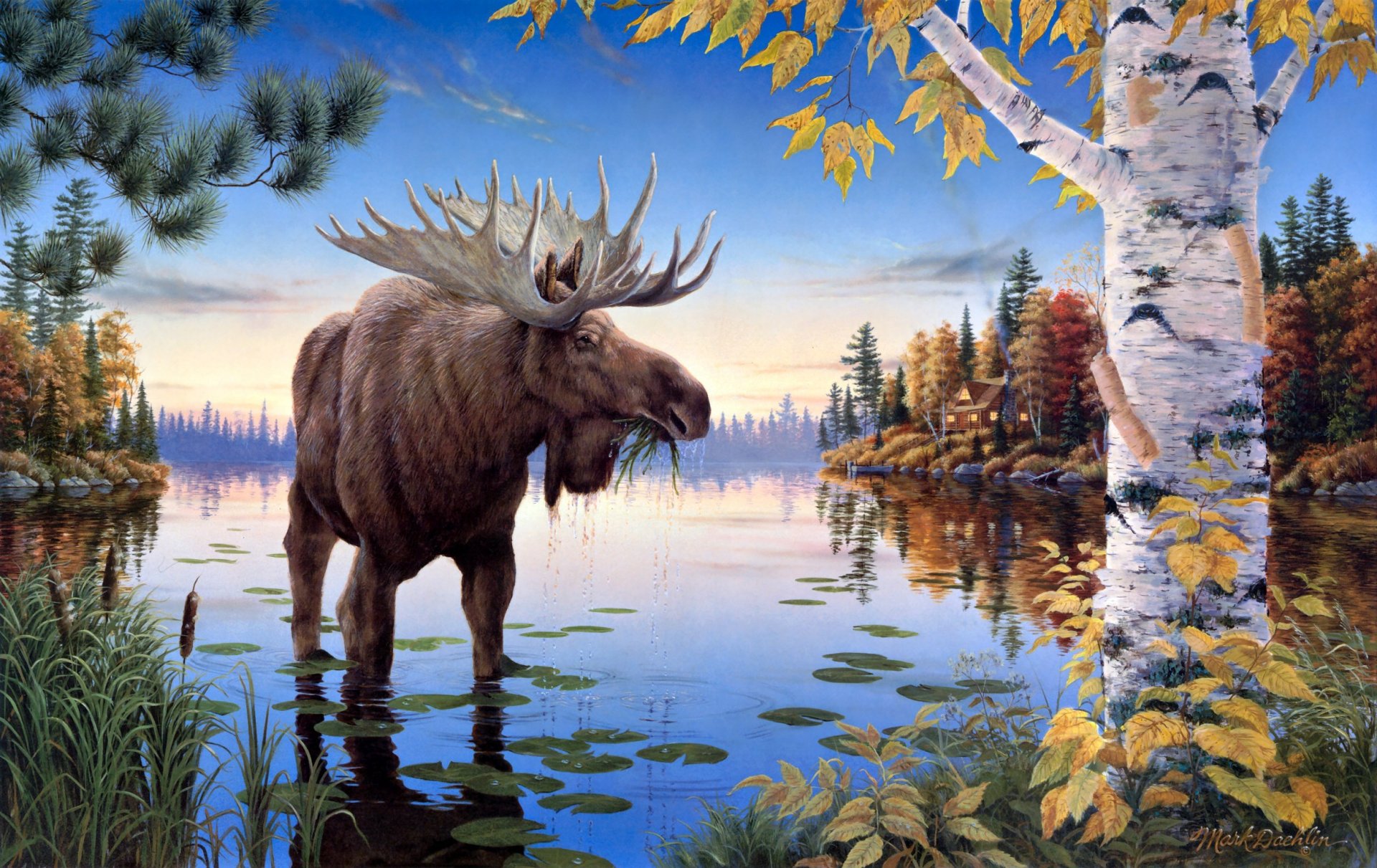 mark daehlin automne majesté peinture elk lac roseaux forêt pin bouleau automne maison