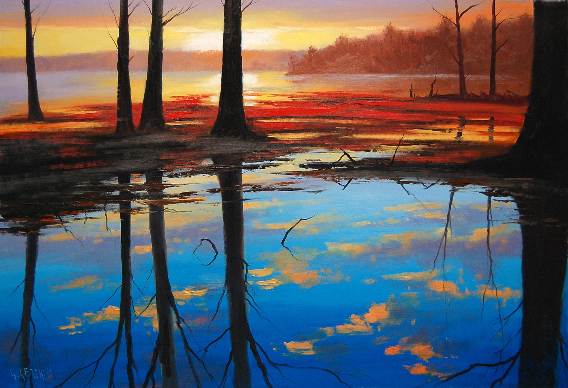 art artsaus nature arbres troncs lac eau aube matin réflexion lever du soleil forêt