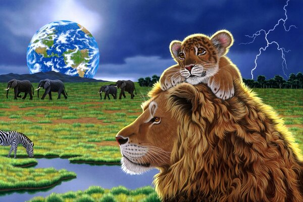 Ein Löwe mit einem Löwen auf dem Kopf schaut in die Ferne, während ein Zebra hinter ihnen Wasser trinkt und eine Elefantenherde kommt
