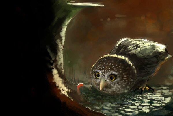 A painted owl looks at a worm