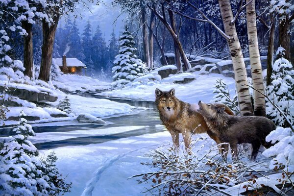 Two wolves at night in the winter forest