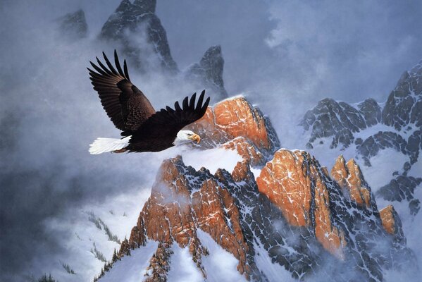 Aigle vole sur les pentes des montagnes